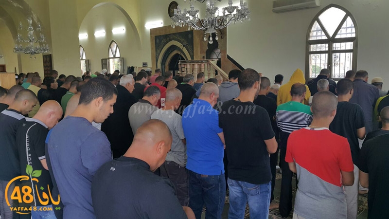 tasheye3 dakkej (8).JPG